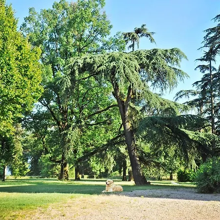 Clos Saint-blaise Albi